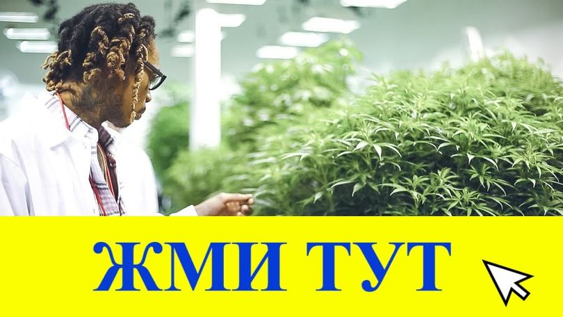 Купить наркотики в Шилке